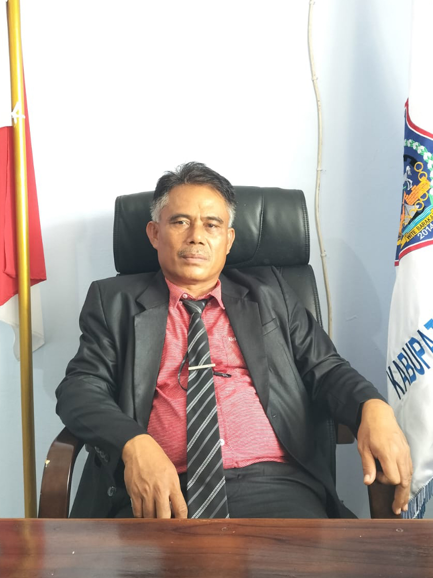 Ir. NESTOR JONO, M.Si
